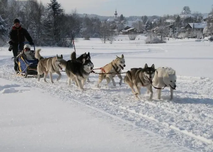 Baerli By Interhome דירה